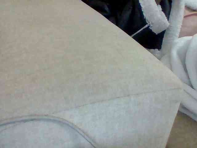 Dollie webcam
