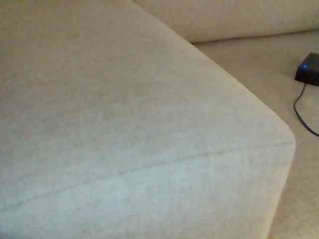 Dollie webcam