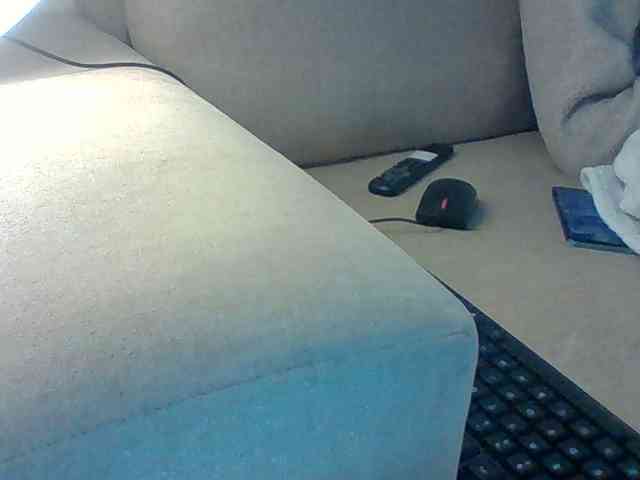 Dollie webcam