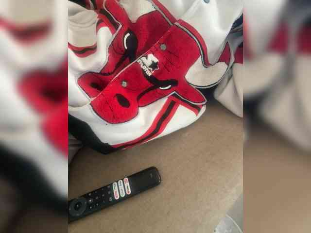 Dollie webcam