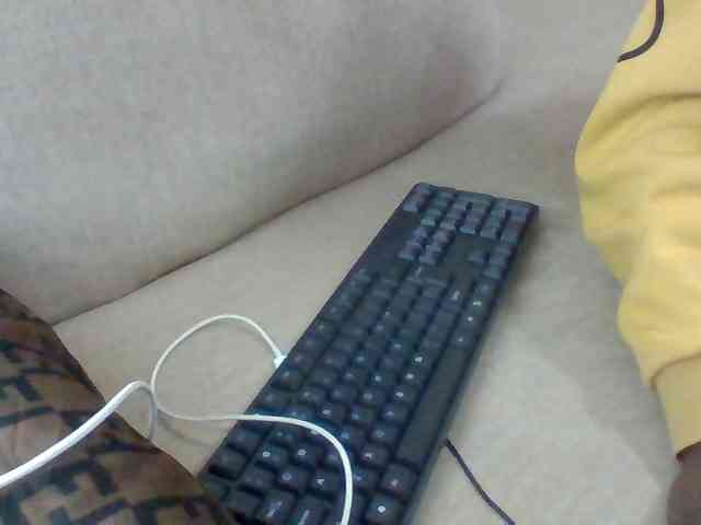 Dollie webcam