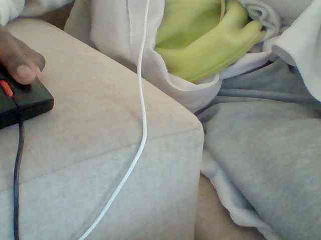 Dollie webcam