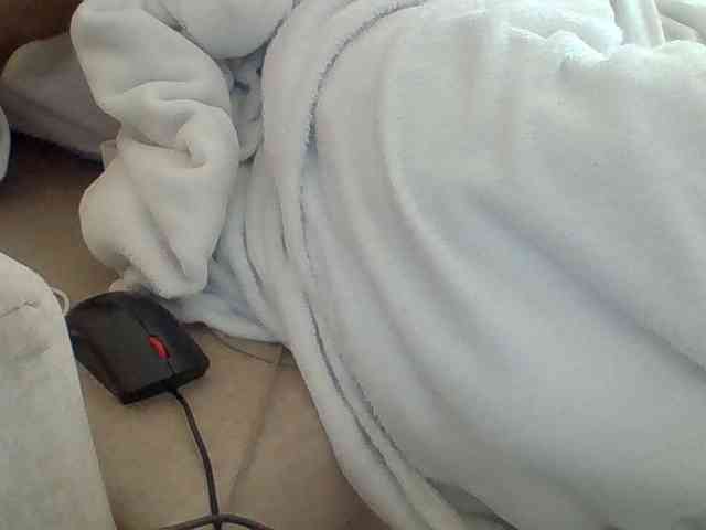 Dollie webcam
