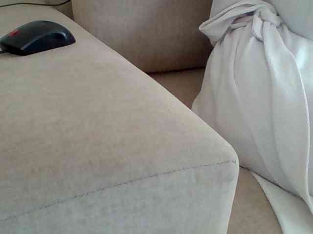 Dollie webcam