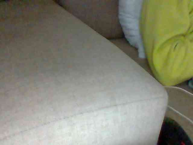 Dollie webcam