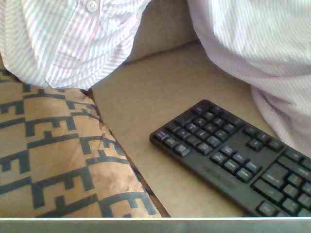 Dollie webcam