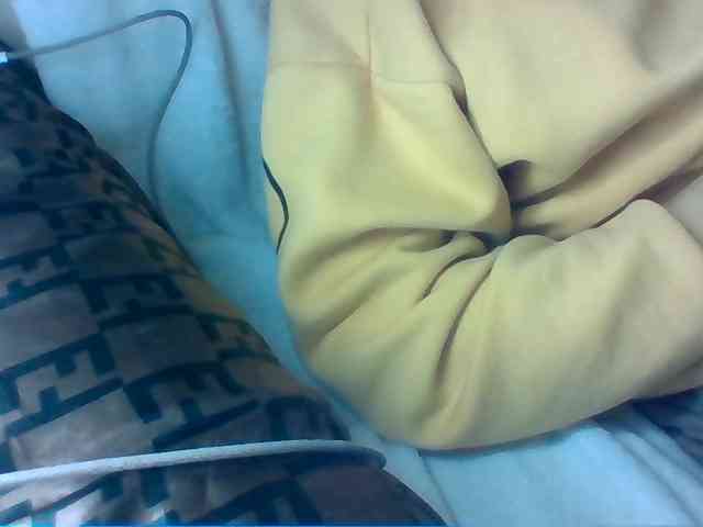 Dollie webcam
