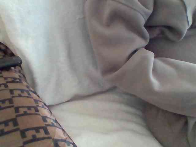 Dollie webcam