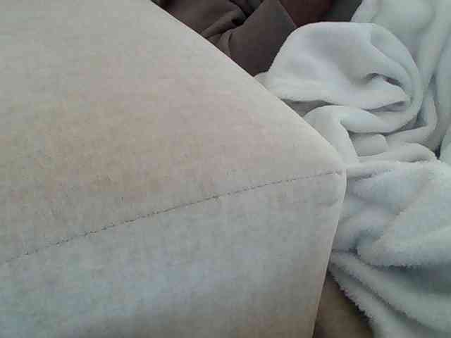 Dollie webcam