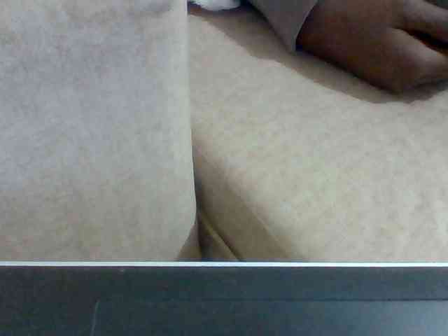 Dollie webcam