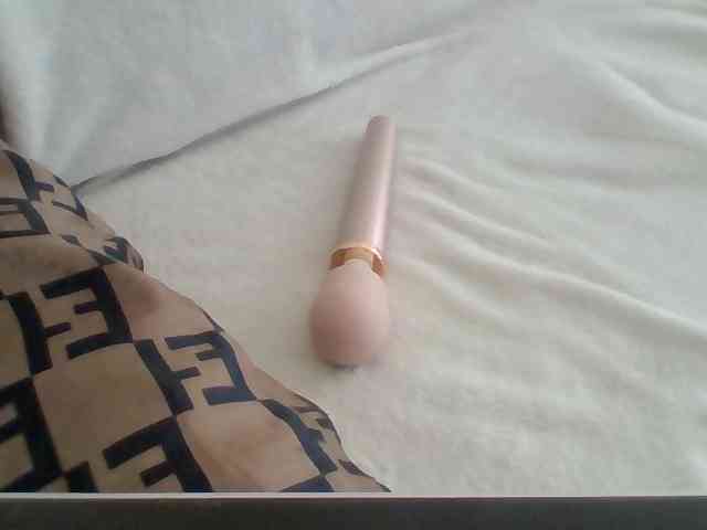 Dollie webcam