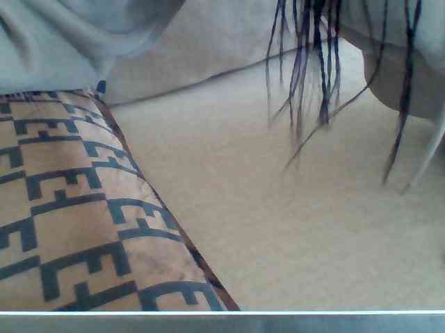 Dollie webcam