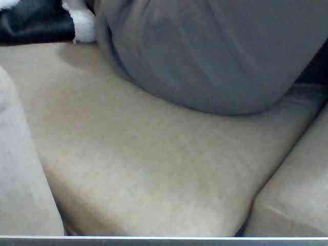 Dollie webcam