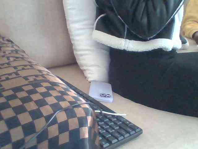 Dollie webcam