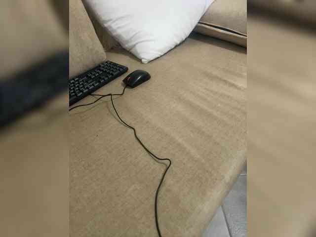 Dollie webcam