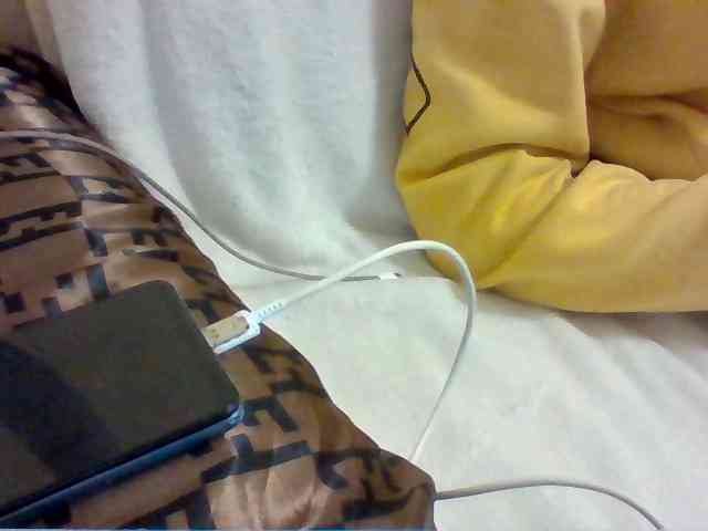 Dollie webcam