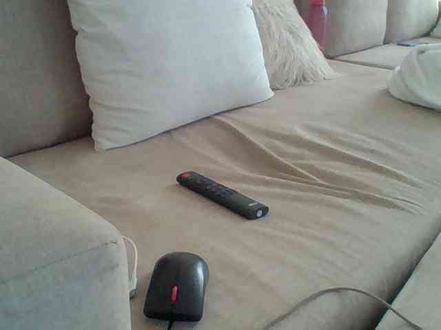 Dollie webcam