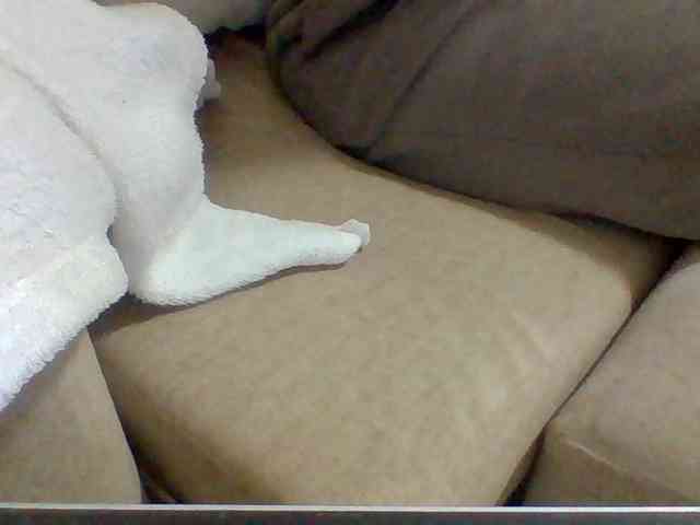 Dollie webcam