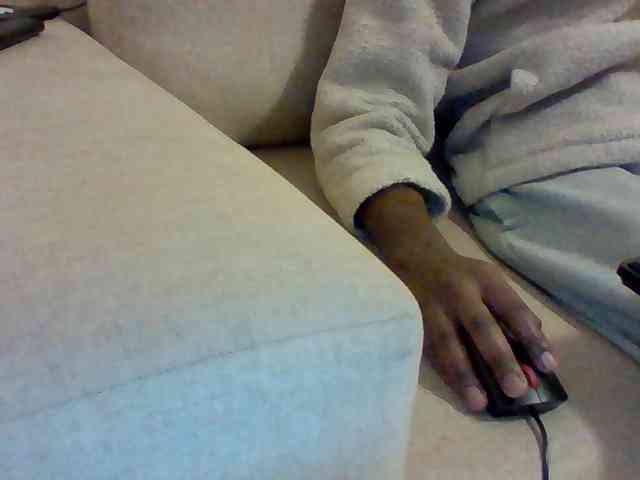 Dollie webcam