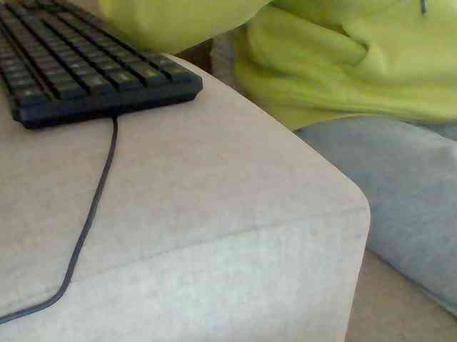 Dollie webcam