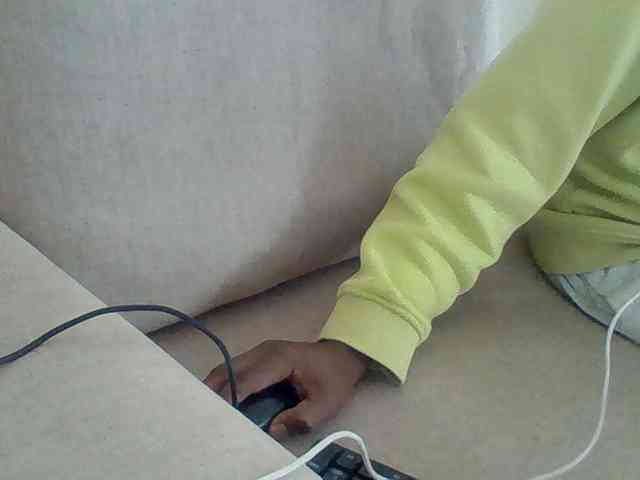 Dollie webcam