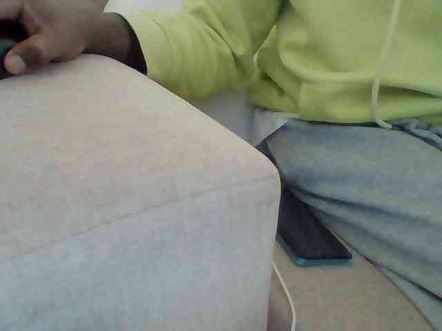 Dollie webcam