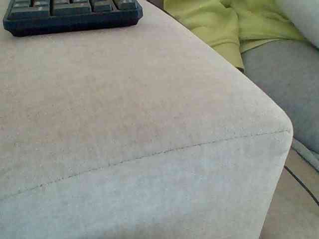 Dollie webcam