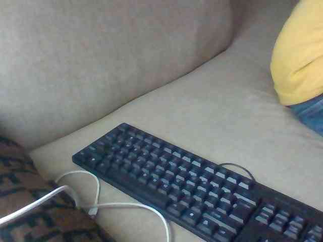 Dollie webcam