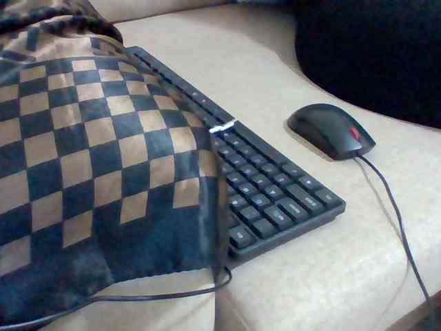 Dollie webcam