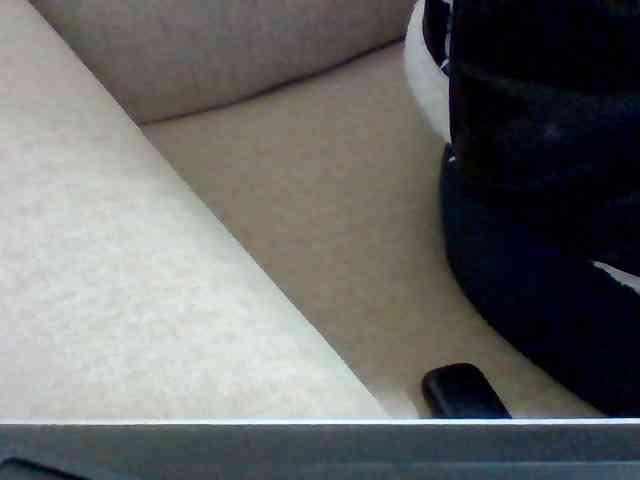 Dollie webcam