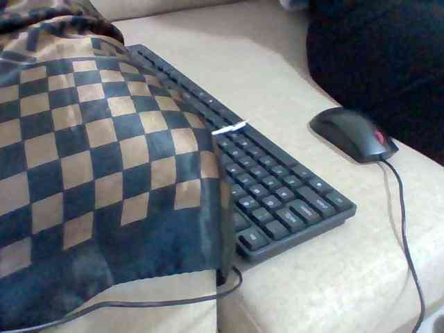 Dollie webcam