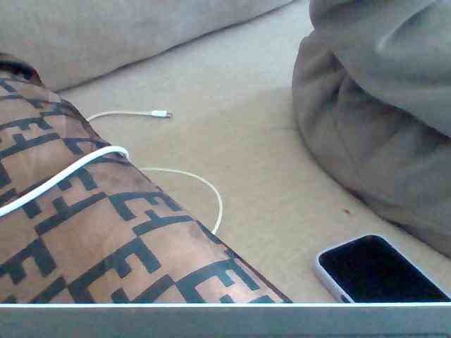 Dollie webcam