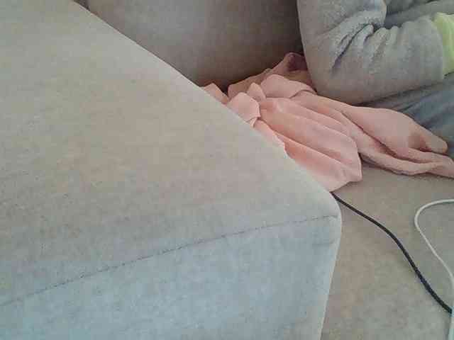 Dollie webcam