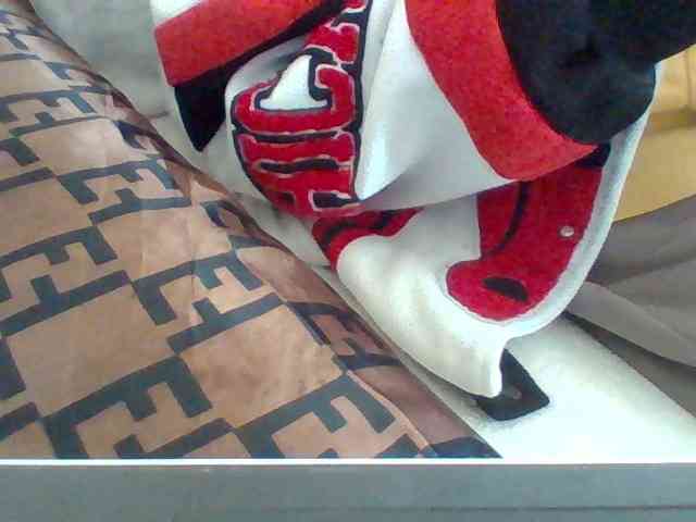 Dollie webcam