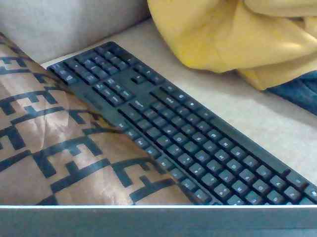 Dollie webcam