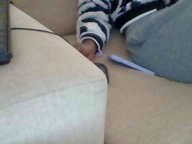 Dollie webcam