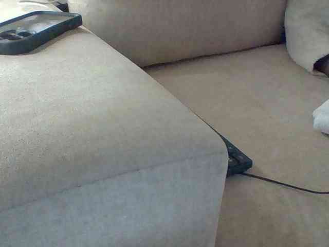 Dollie webcam