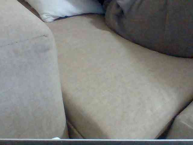 Dollie webcam