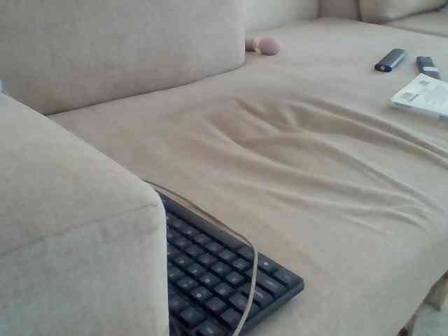 Dollie webcam