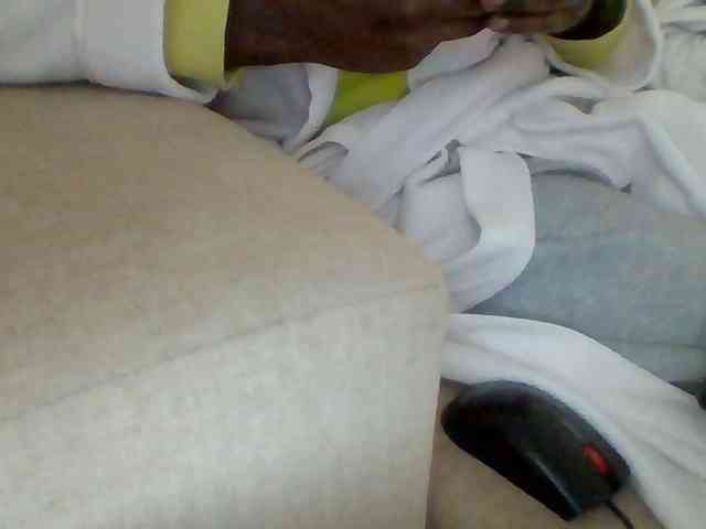 Dollie webcam