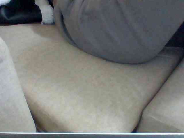 Dollie webcam