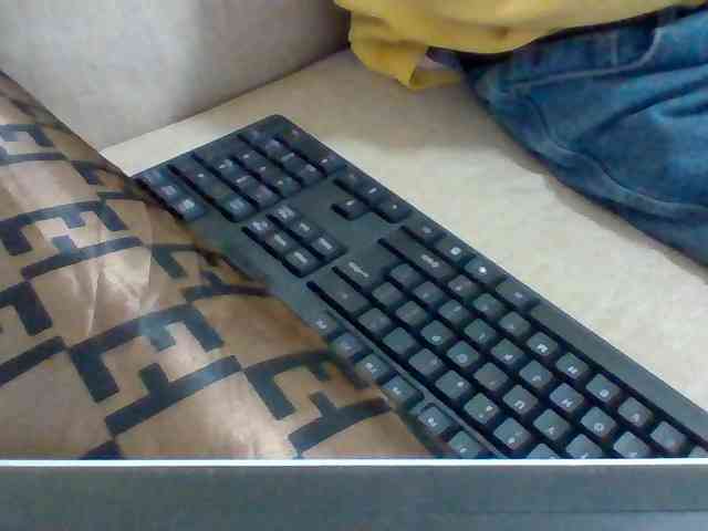 Dollie webcam