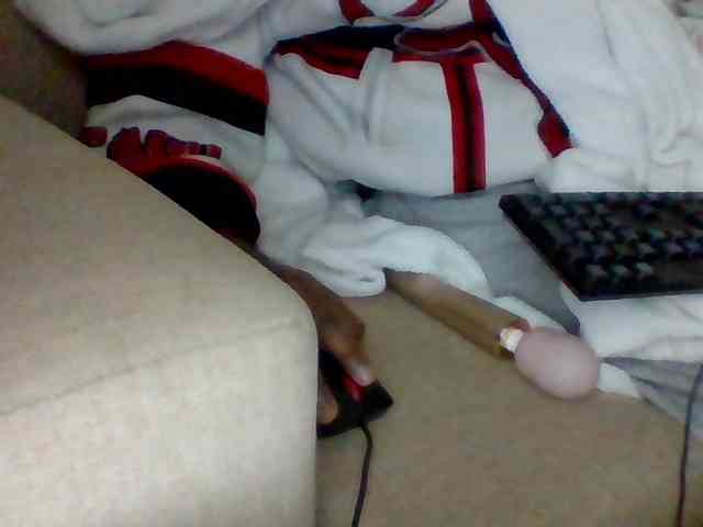 Dollie webcam