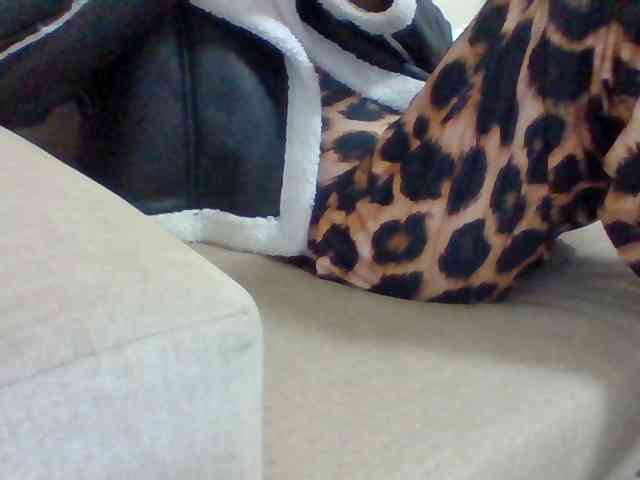 Dollie
