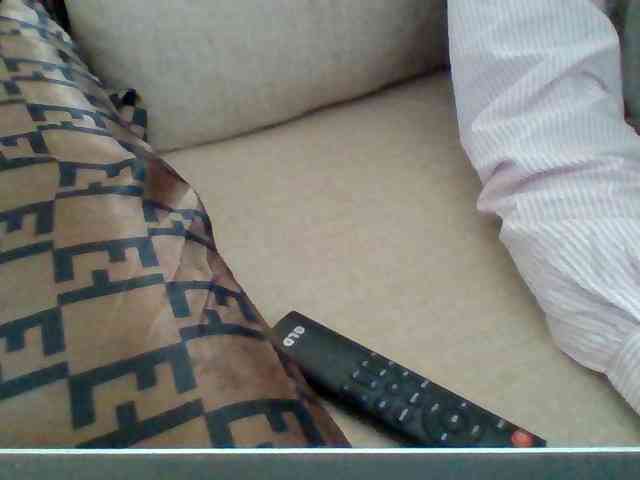 Dollie webcam