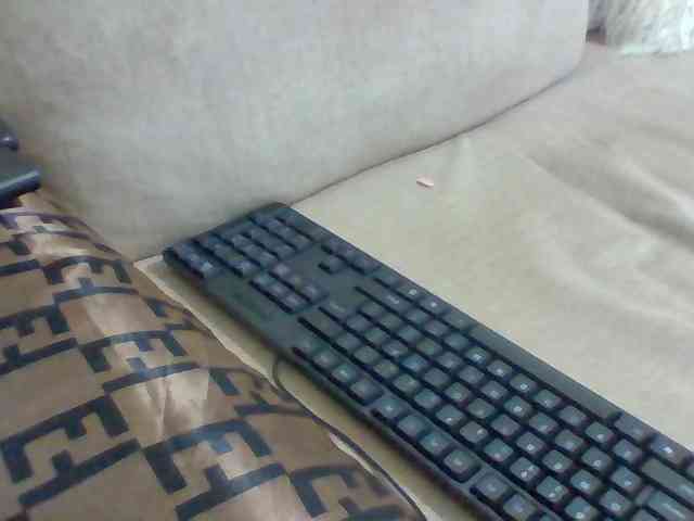Dollie webcam