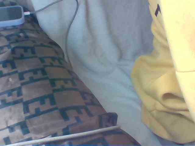 Dollie webcam