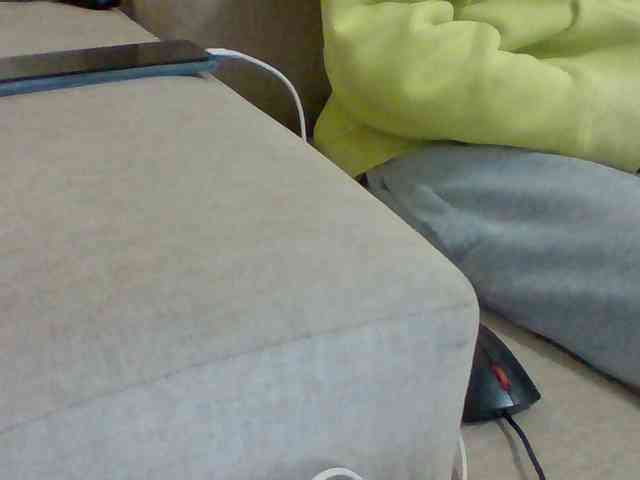 Dollie webcam
