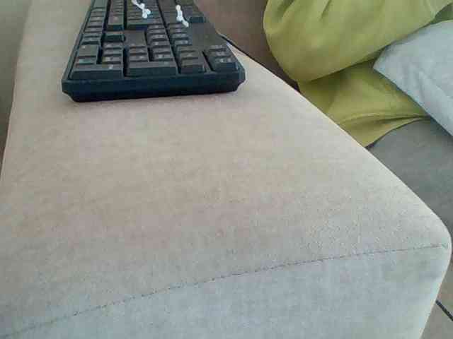 Dollie webcam
