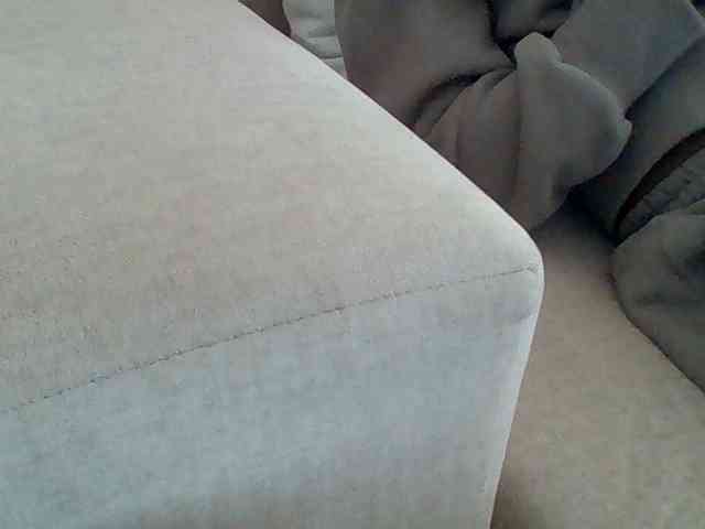 Dollie webcam
